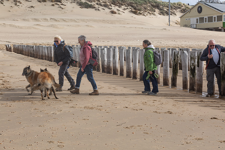 Wandeling Dishoek